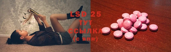 PSILOCYBIN Наволоки