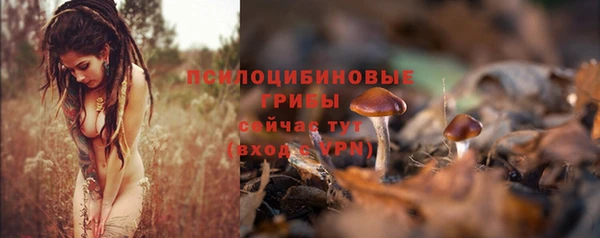 PSILOCYBIN Наволоки