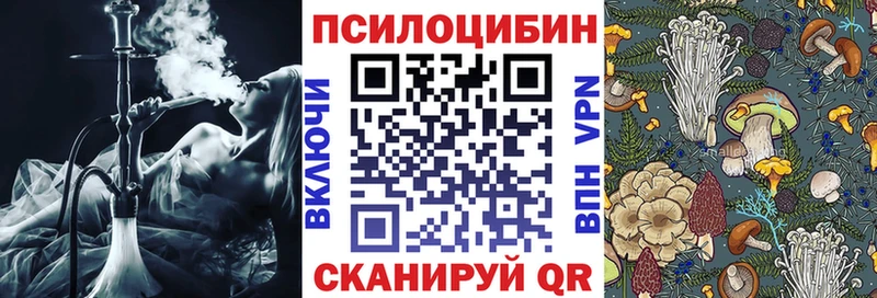 Галлюциногенные грибы Psilocybe  купить наркоту  нарко площадка Telegram  Павловский Посад 